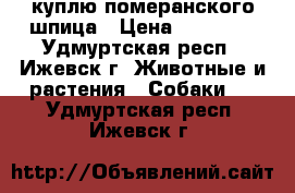 куплю померанского шпица › Цена ­ 10 000 - Удмуртская респ., Ижевск г. Животные и растения » Собаки   . Удмуртская респ.,Ижевск г.